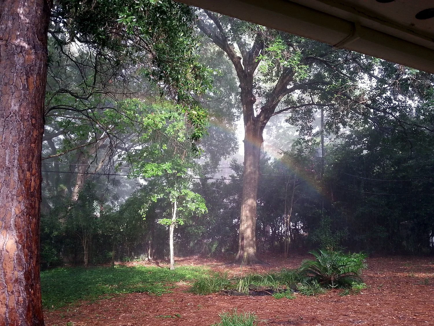 rainbow's end 2.jpg