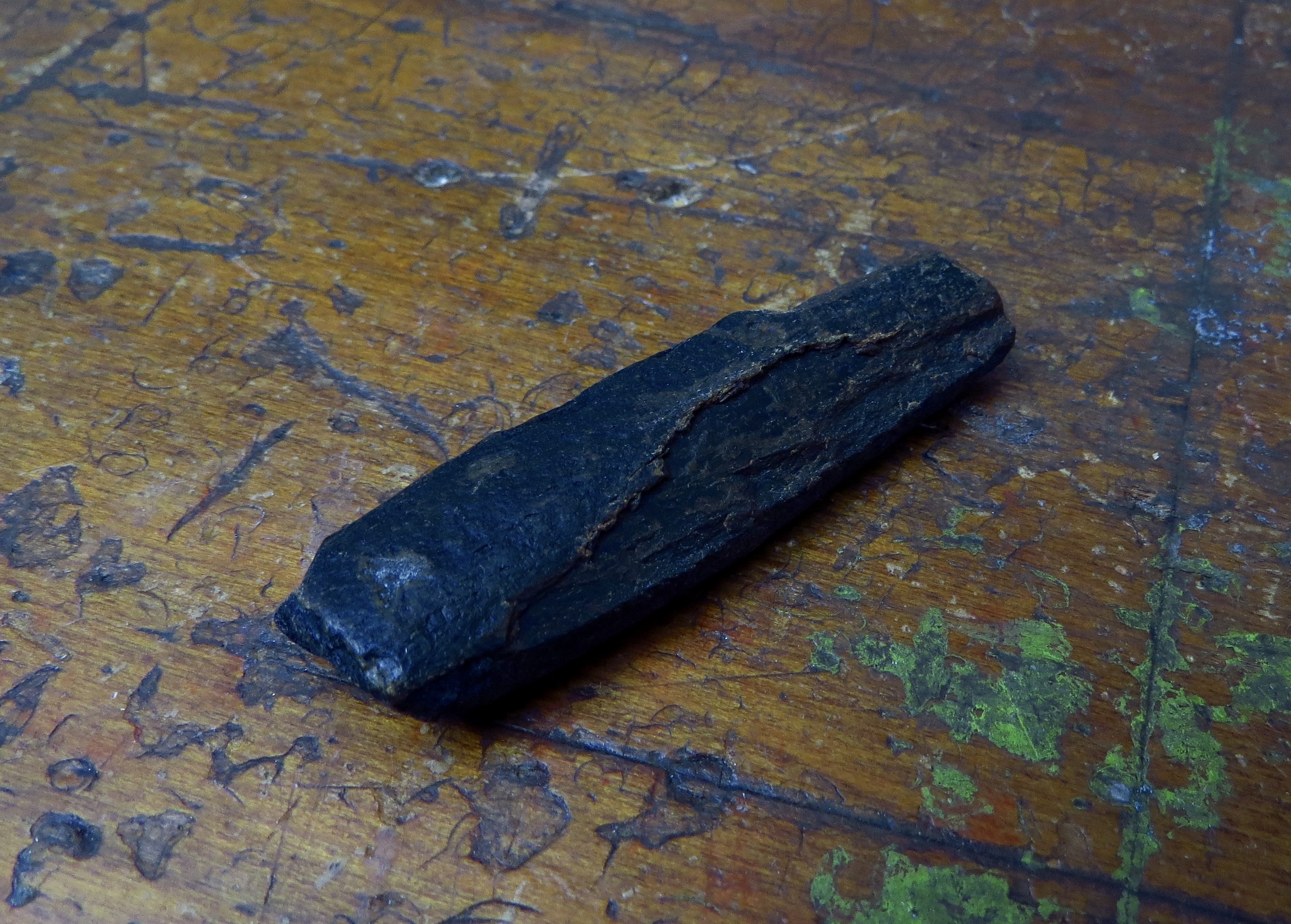 fossilized bone fragment ... looks like cast bronze!