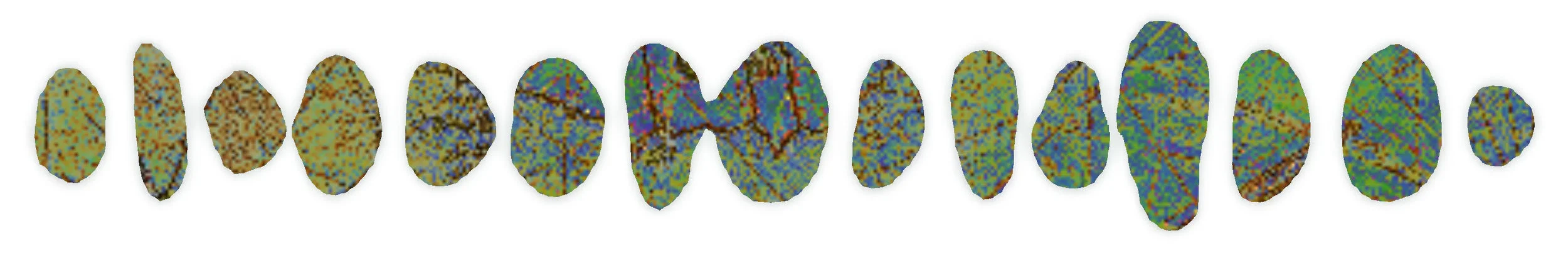 perfume pebble graphic 2.jpg