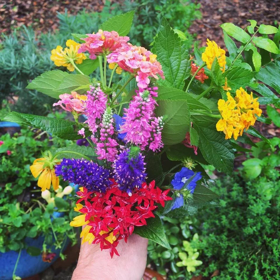 spring bouquet may 2018.jpg