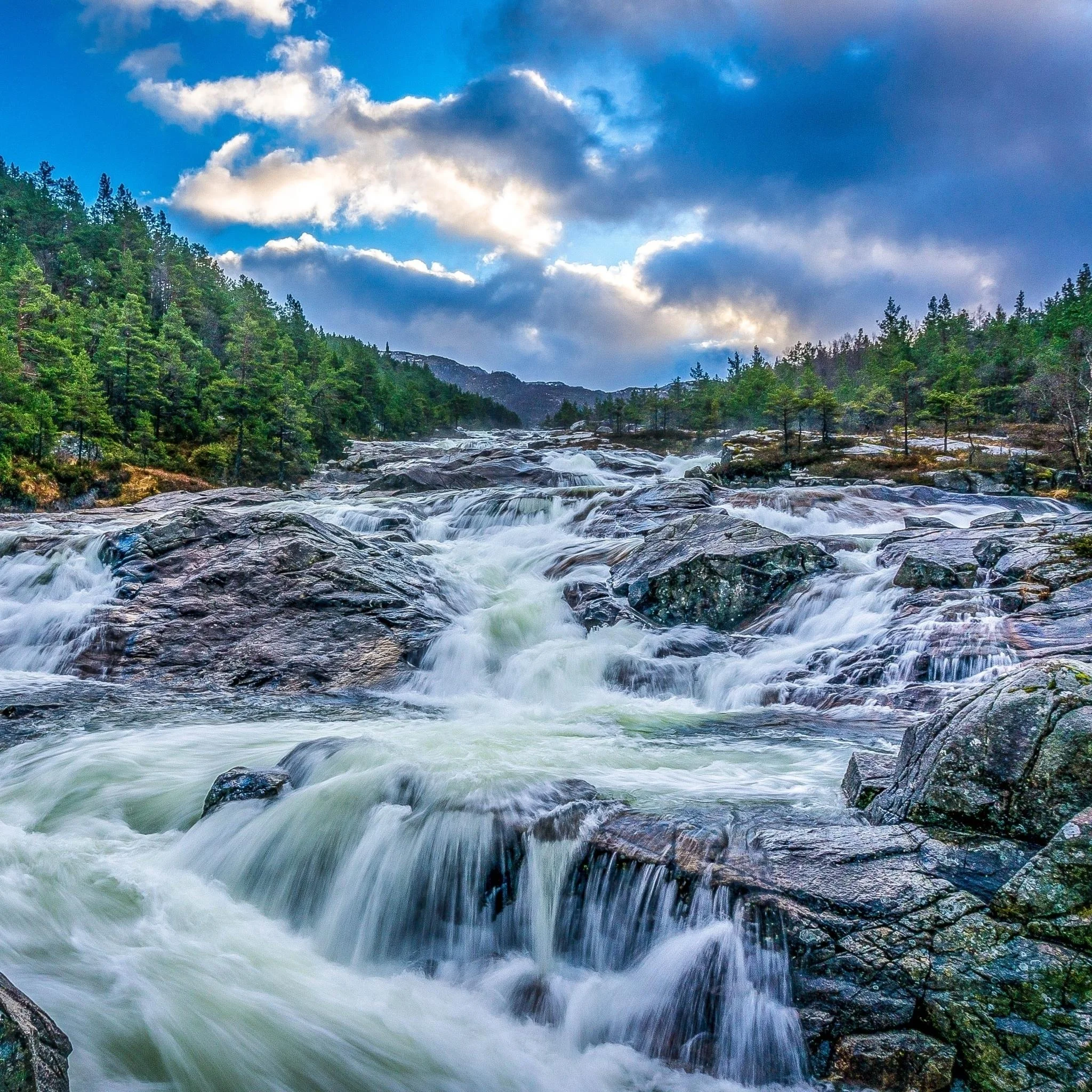 #024 - Growing up tough and the art of softening