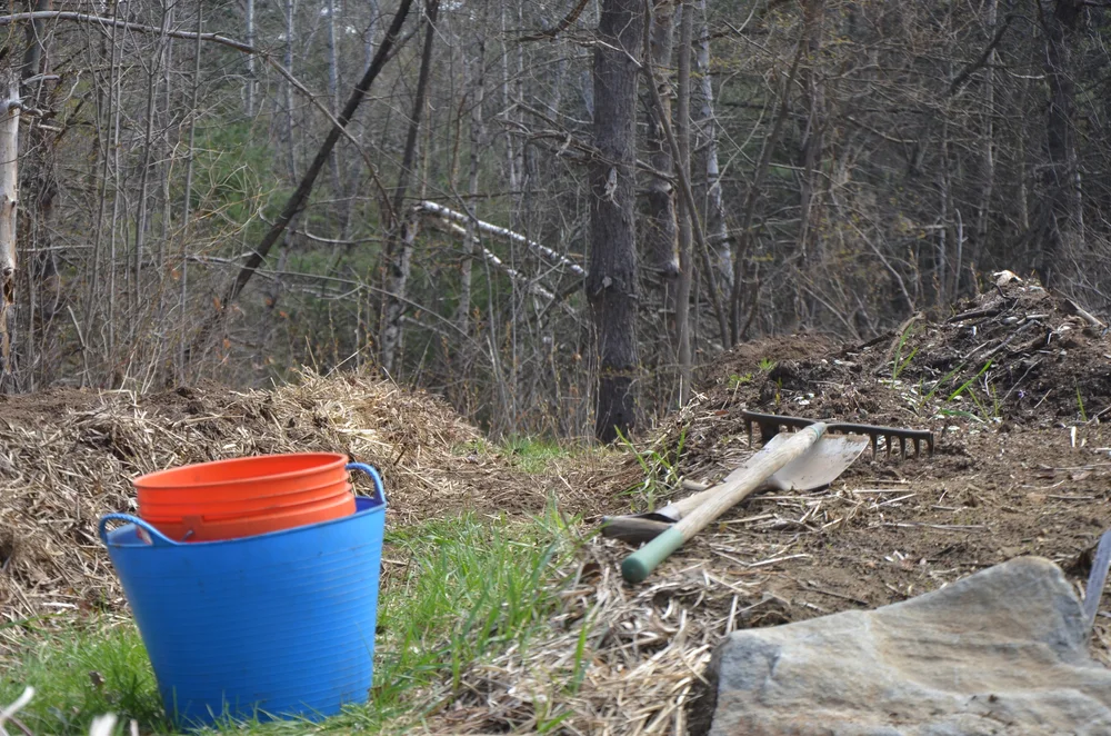 Let's get started.JPG