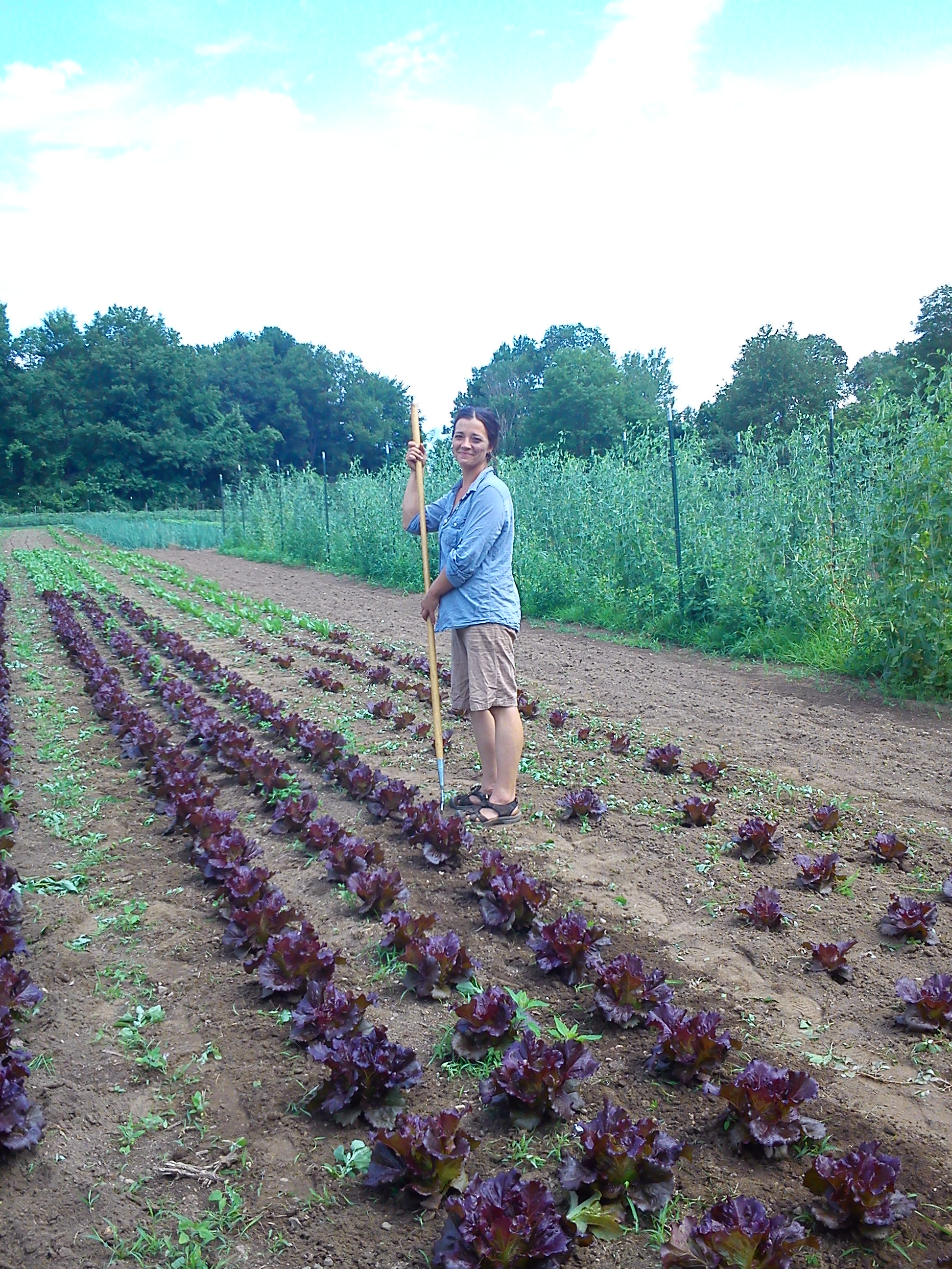 Kyra in Lettuce Patch.jpg