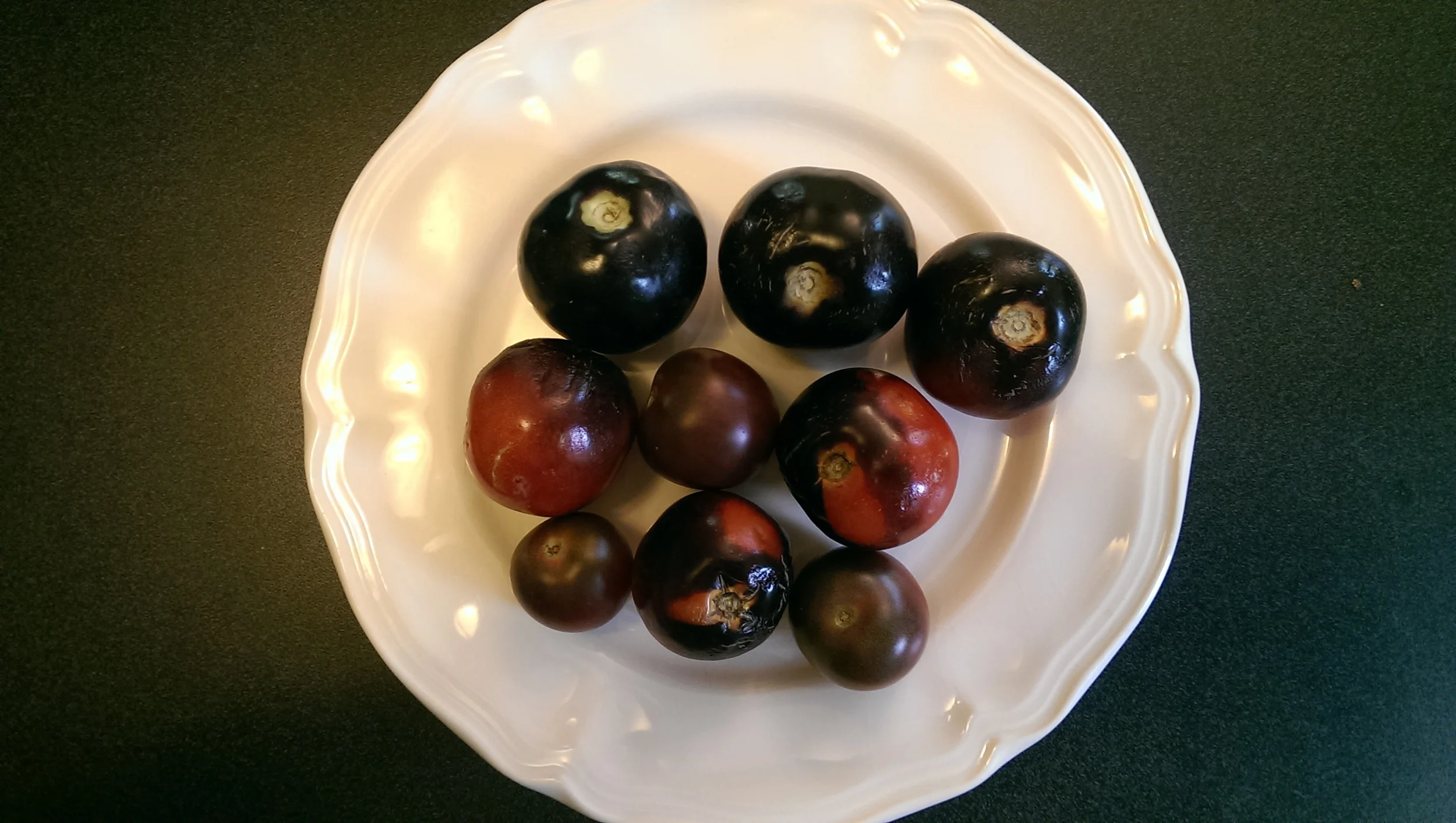 This is not your ordinary tomato! It looks like a plum, but these Indigo Rose and Black Cherry tomatoes from Peace Haven Farm in Becket, MA are delicious and loaded with lycopene.