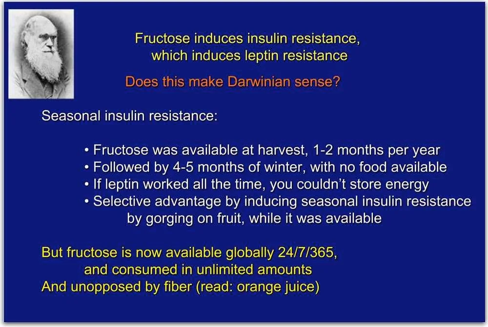 darwinfructose.jpg