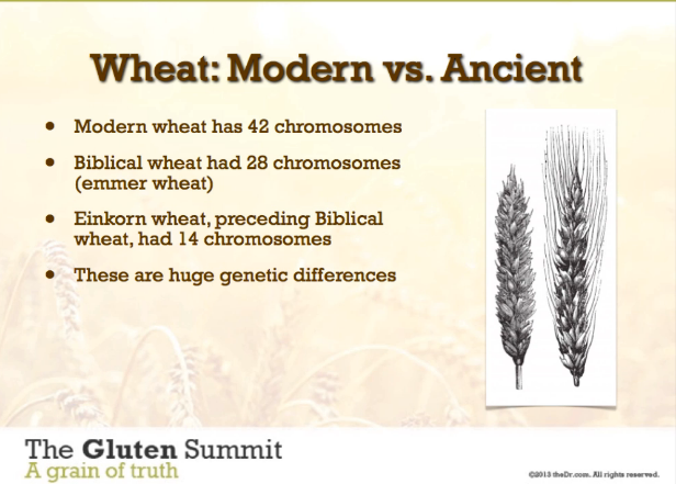 Wheat mod vs ancient.png