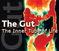 Gut Inner Tube o life.gif