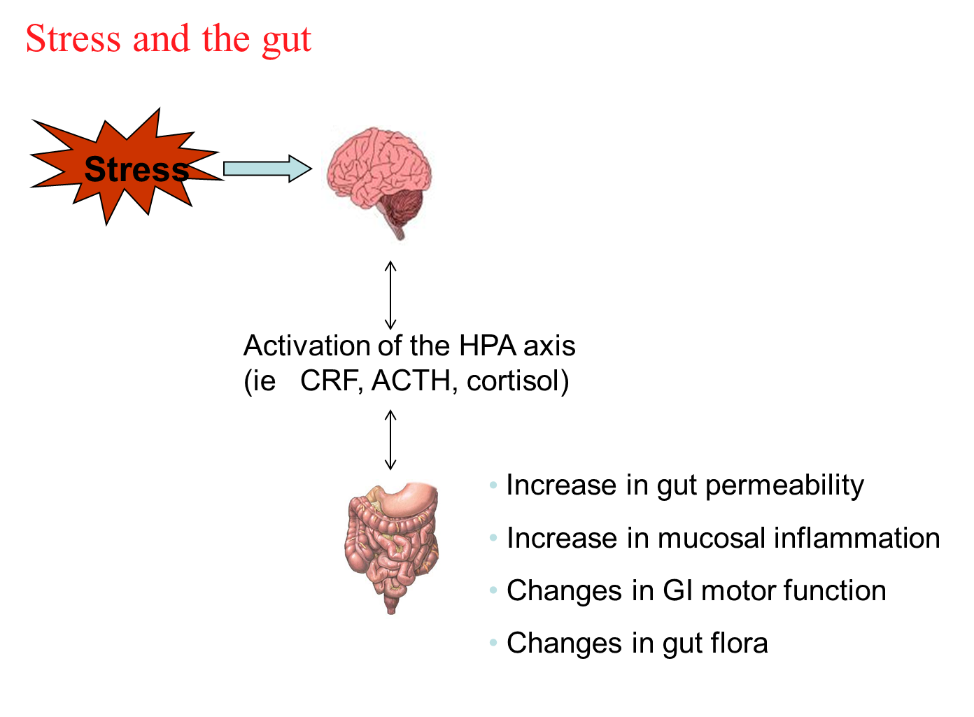 stressngut.jpg