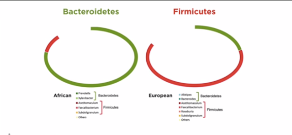 The Impact of diet in shaping gut microbiota revealed by a comparative study in children from Europe and rural Africa. African and European results were exactly opposite. Firmicutes are common in depression and obesity and are dominant in t he European diet and far less present in the African diet.