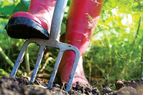 redwellies.jpg