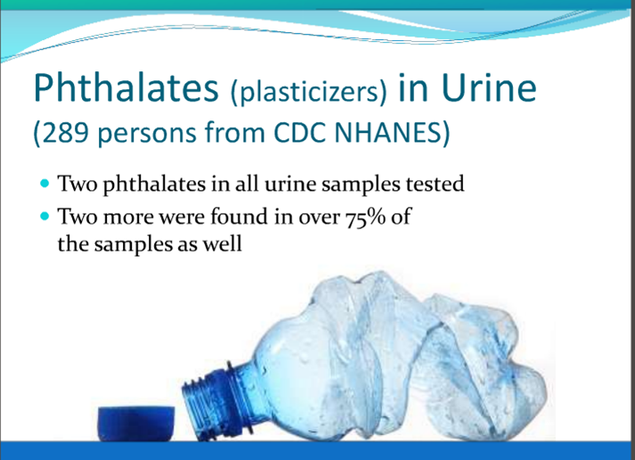 phthalates.jpg