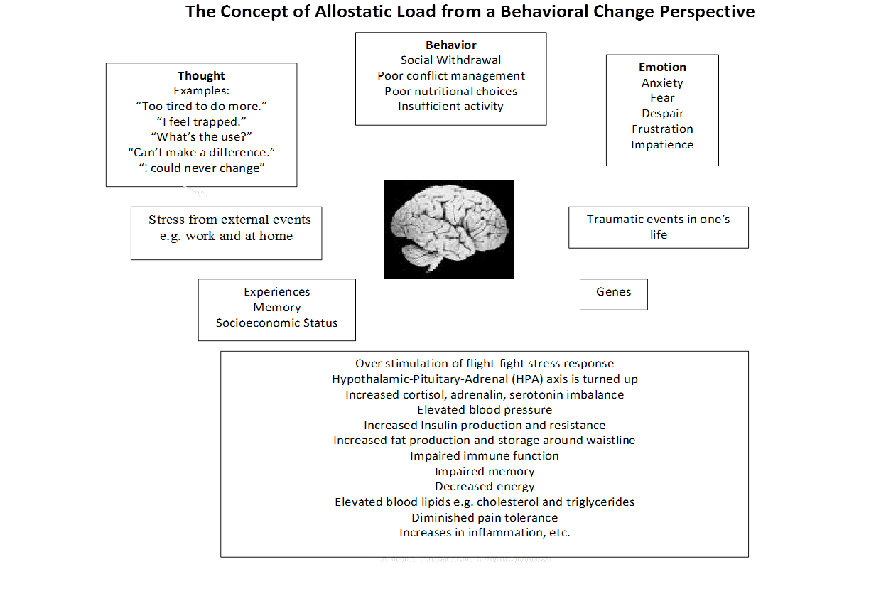 allostaticbehavioral.jpg