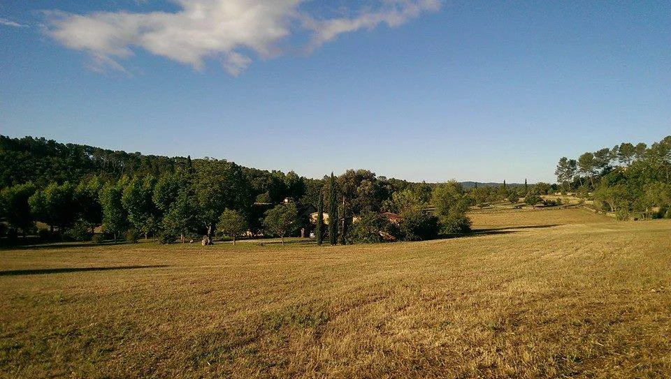 field 2.jpg