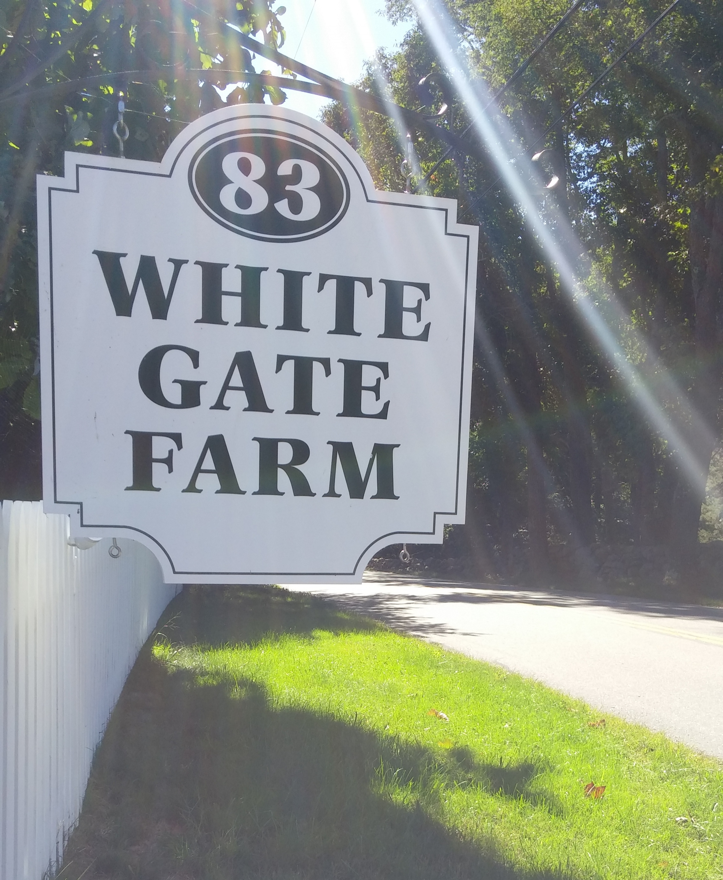 White Gate Sun Sign.jpg