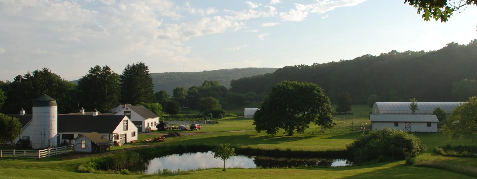 White Gate Farm