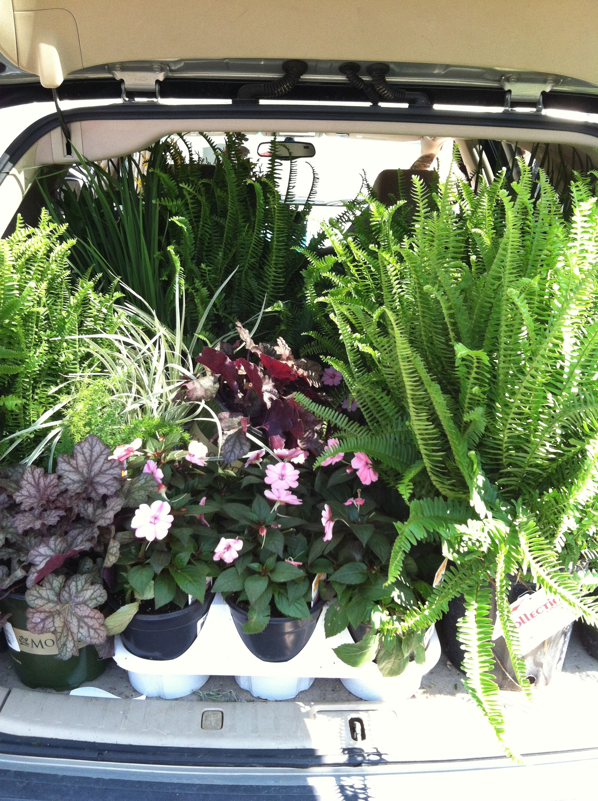 Our car loaded down from Lowe's! Such fun! 
