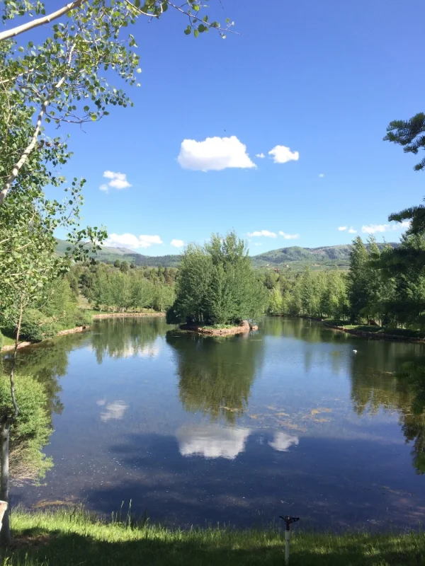 A pond on the grounds of the wedding venue. No filter! Can you believe it?