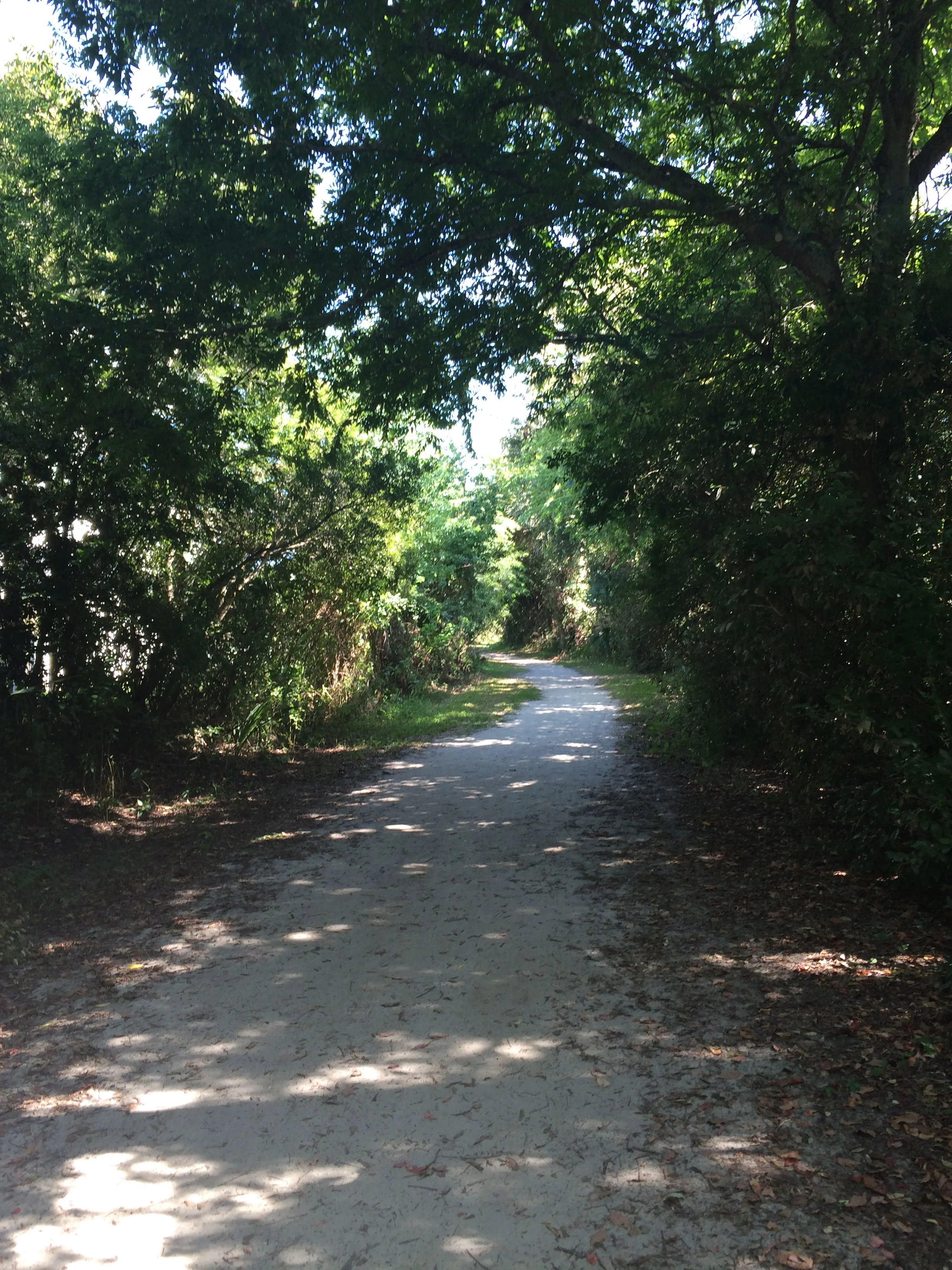 snapped this shot while walking to the beach