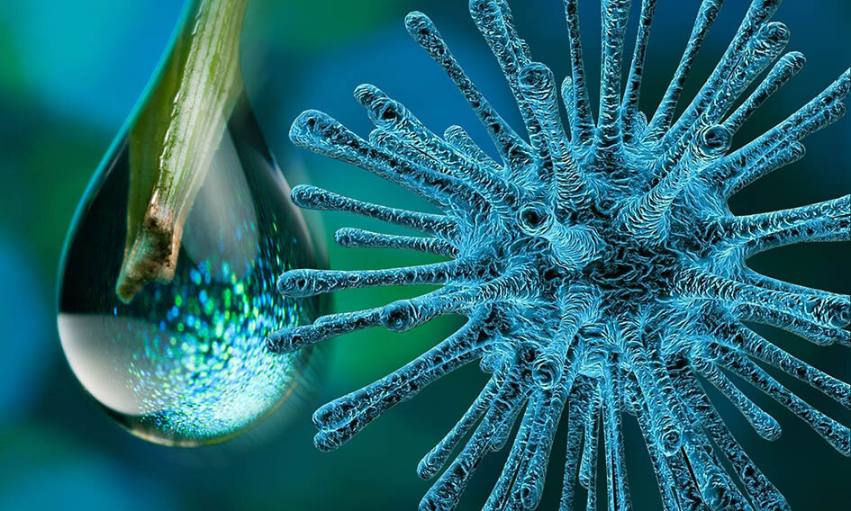 Coronavirus y el Agua.jpg