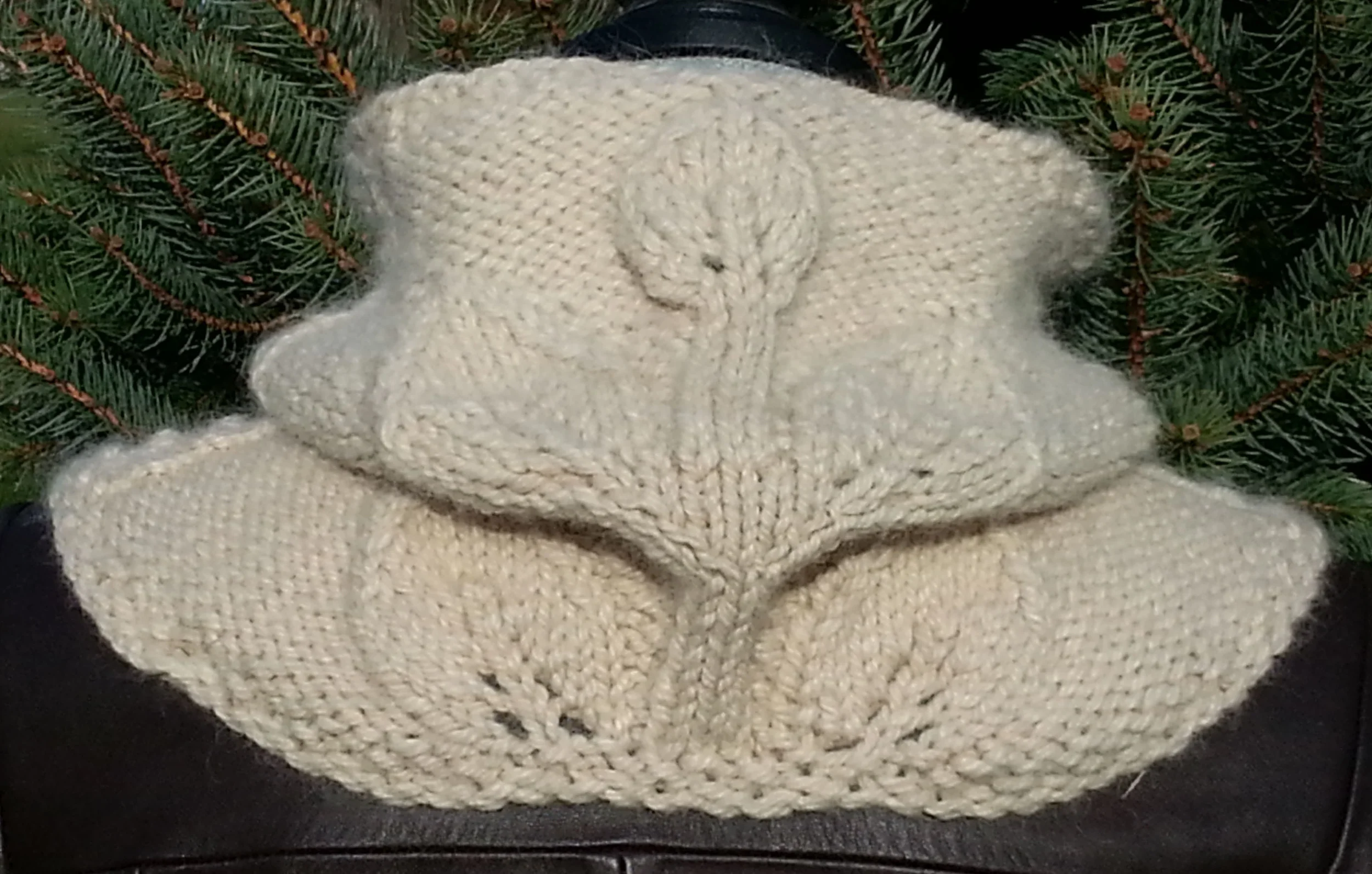 Divine Cowl back.jpg