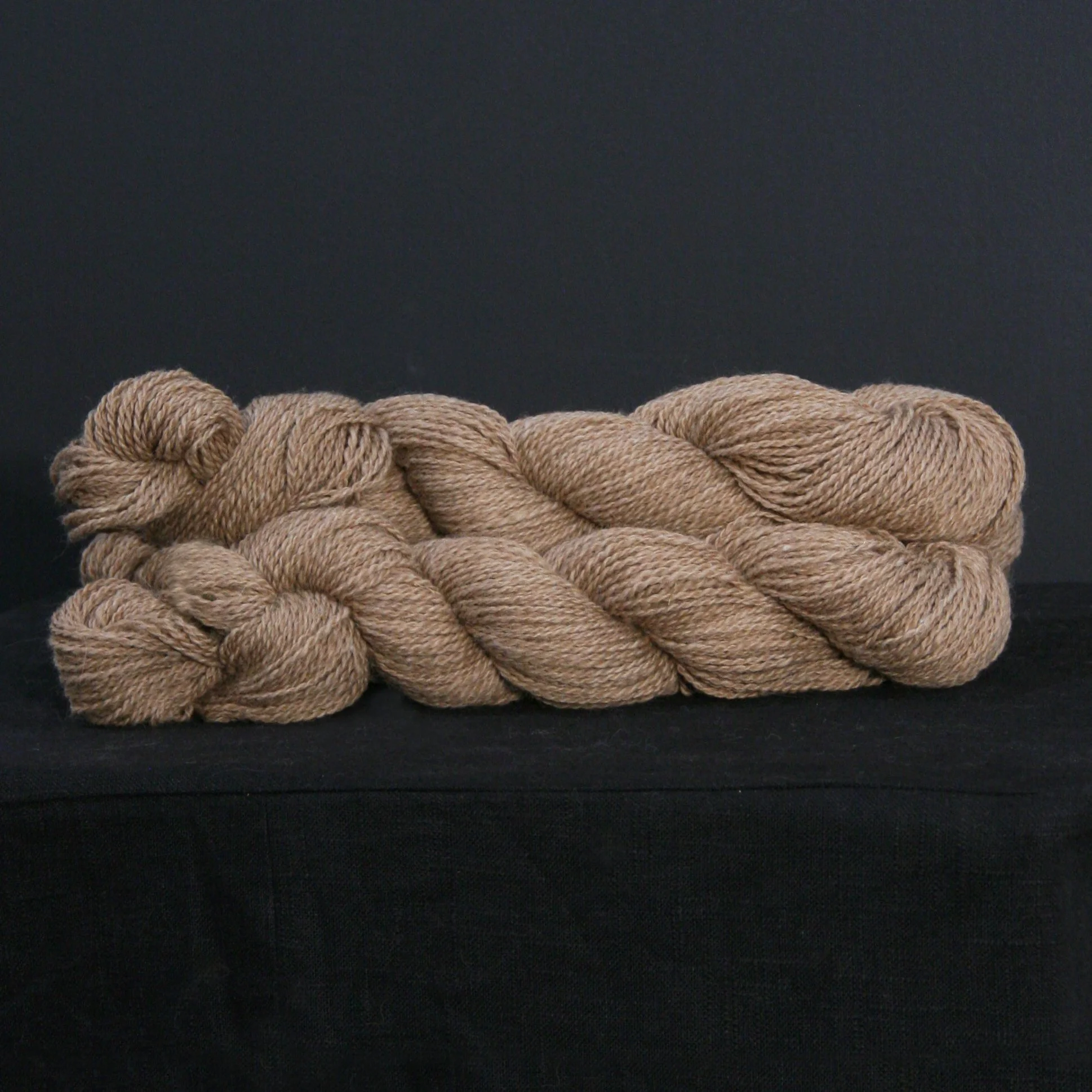 Thaddeus Sport DK 200.jpg