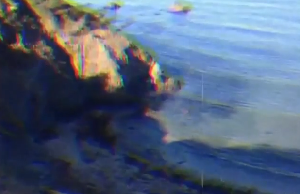 hali tribute still.PNG