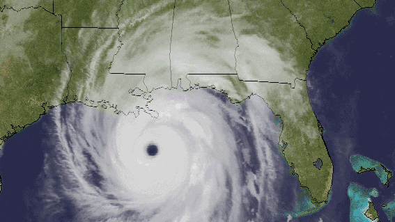 katrina-cimss-ssec2.gif