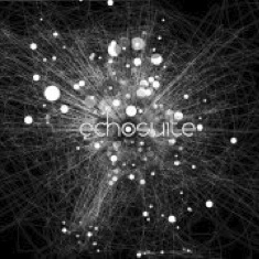 Echosuite "Our Noisy Culture" 2012
