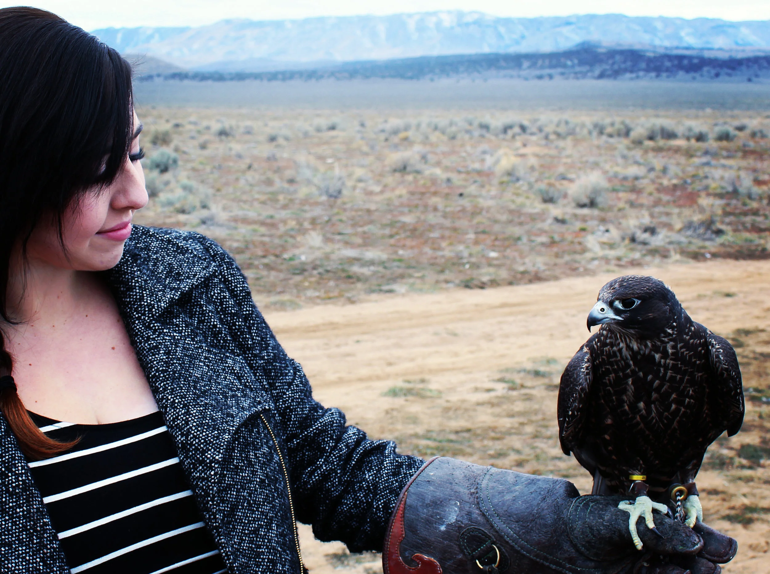 Doing field research for an article about falconry. 