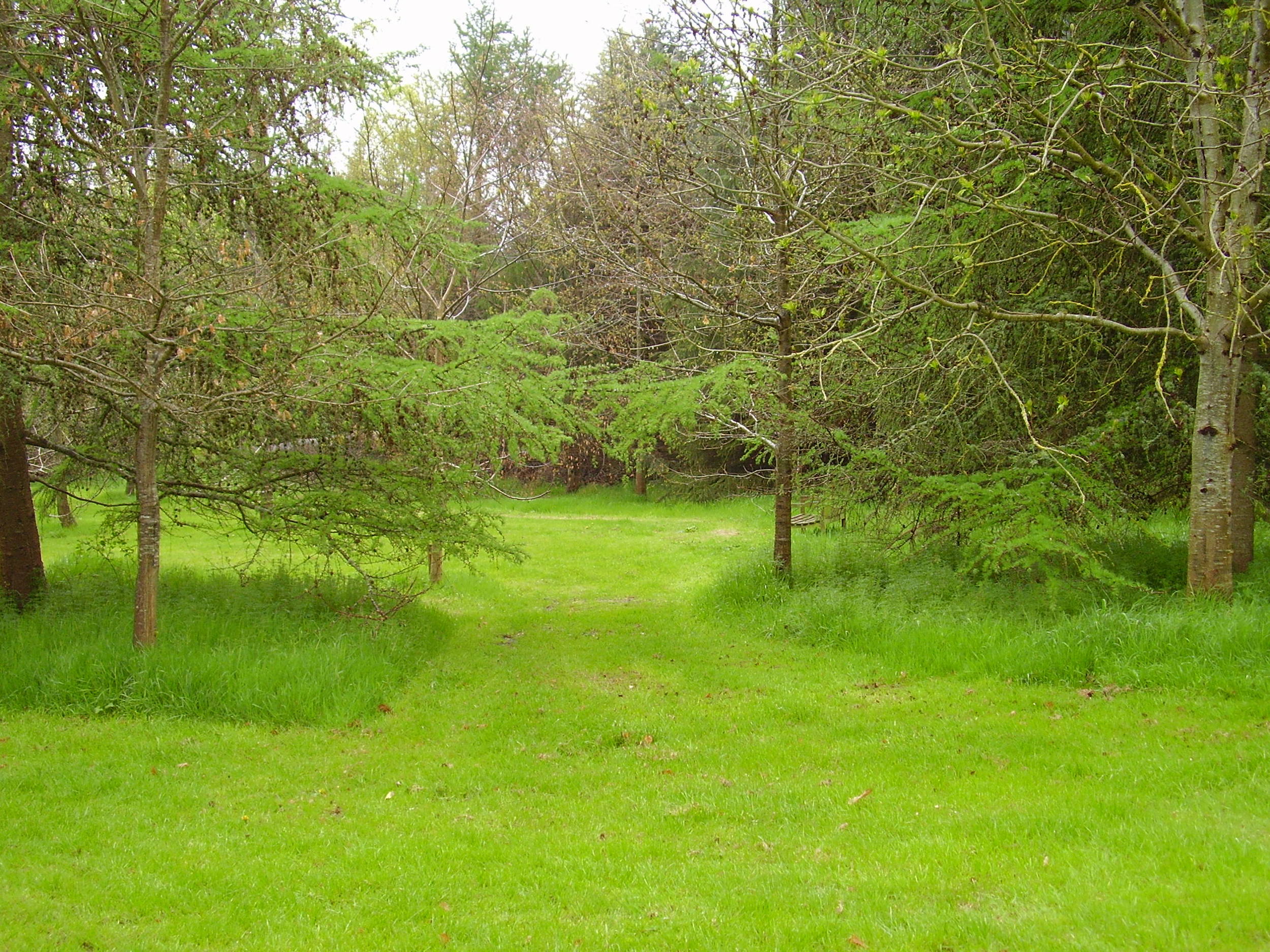Image title 7