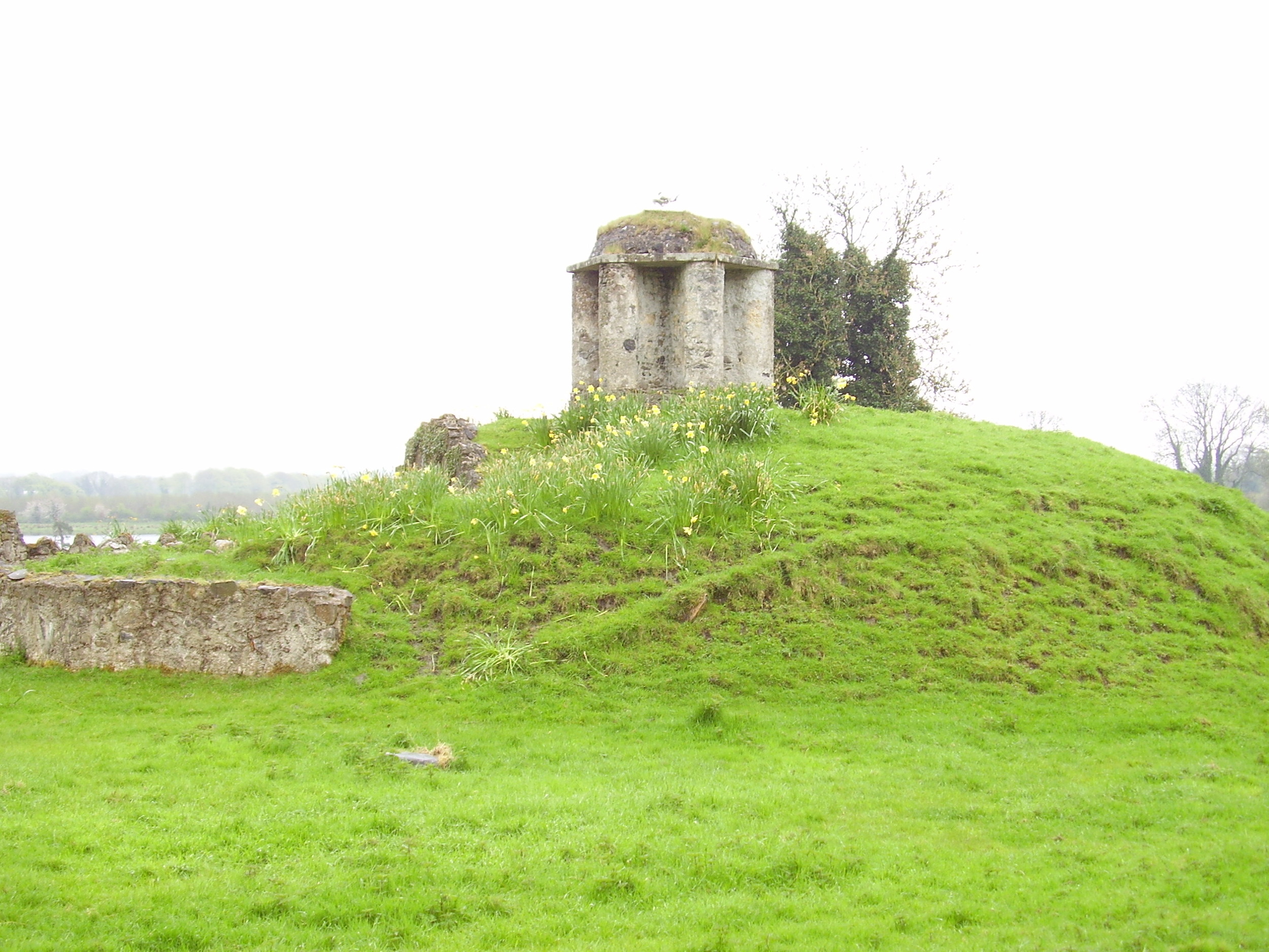 Image title 8
