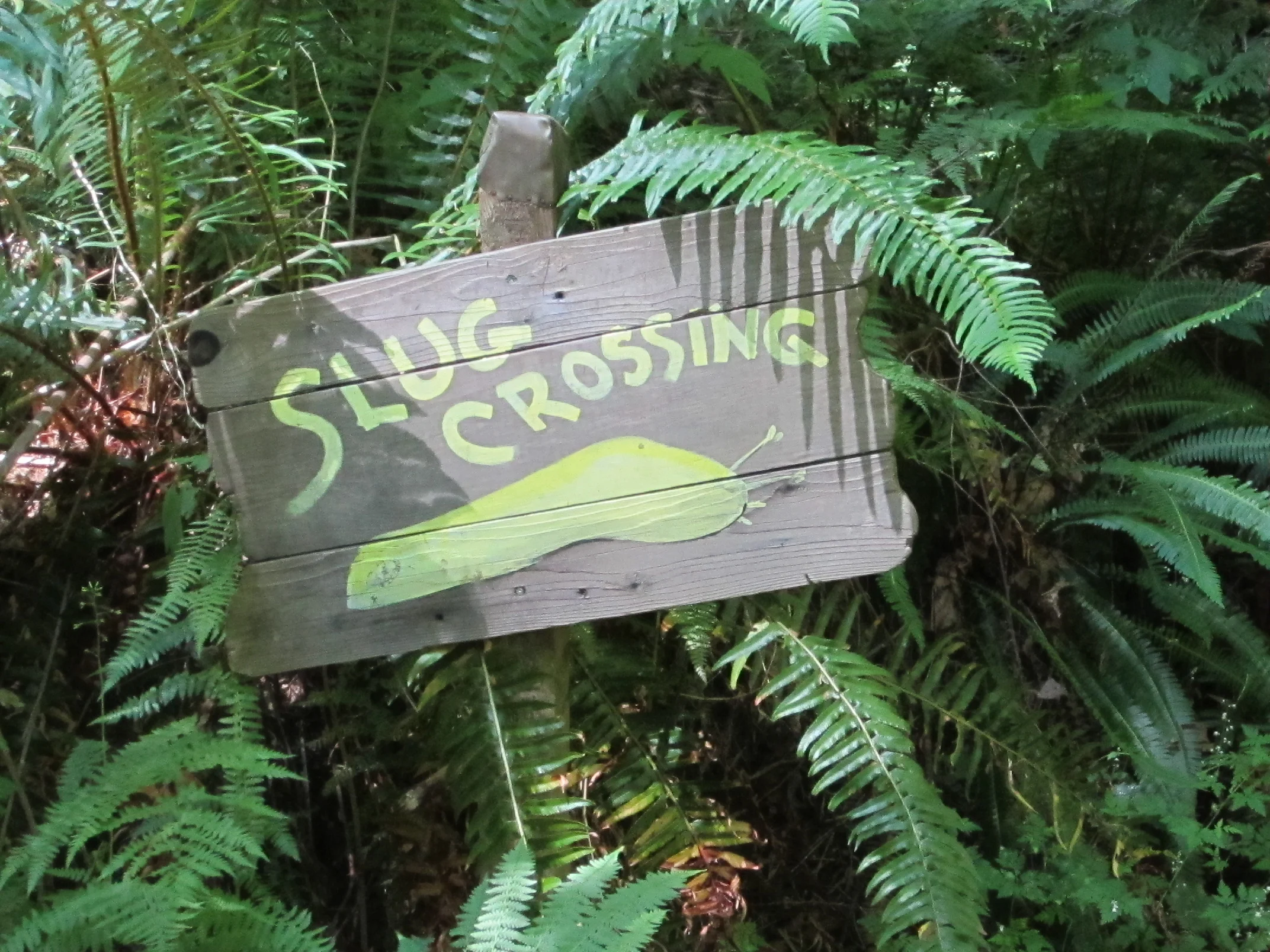 gatecon2010 (607).JPG