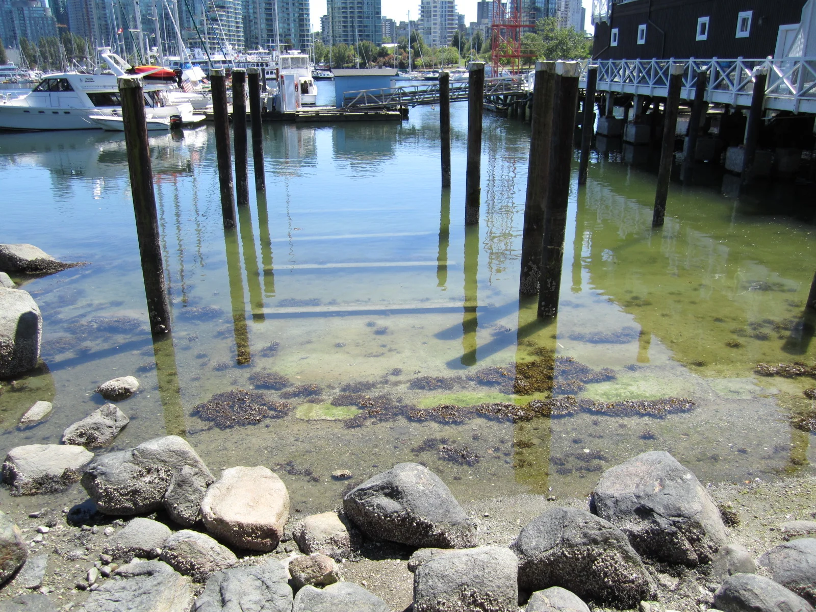 gatecon2010 (769).JPG