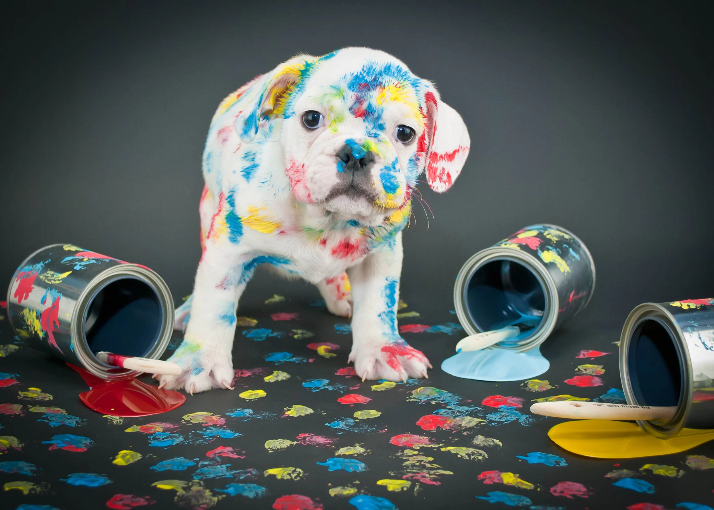 Gaining evidence for rehabilitation interventions can be messy