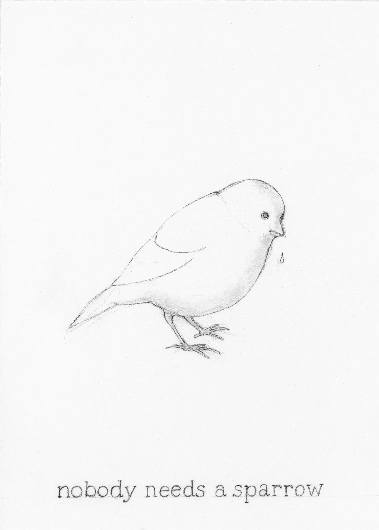 Nobody needs a sparrow