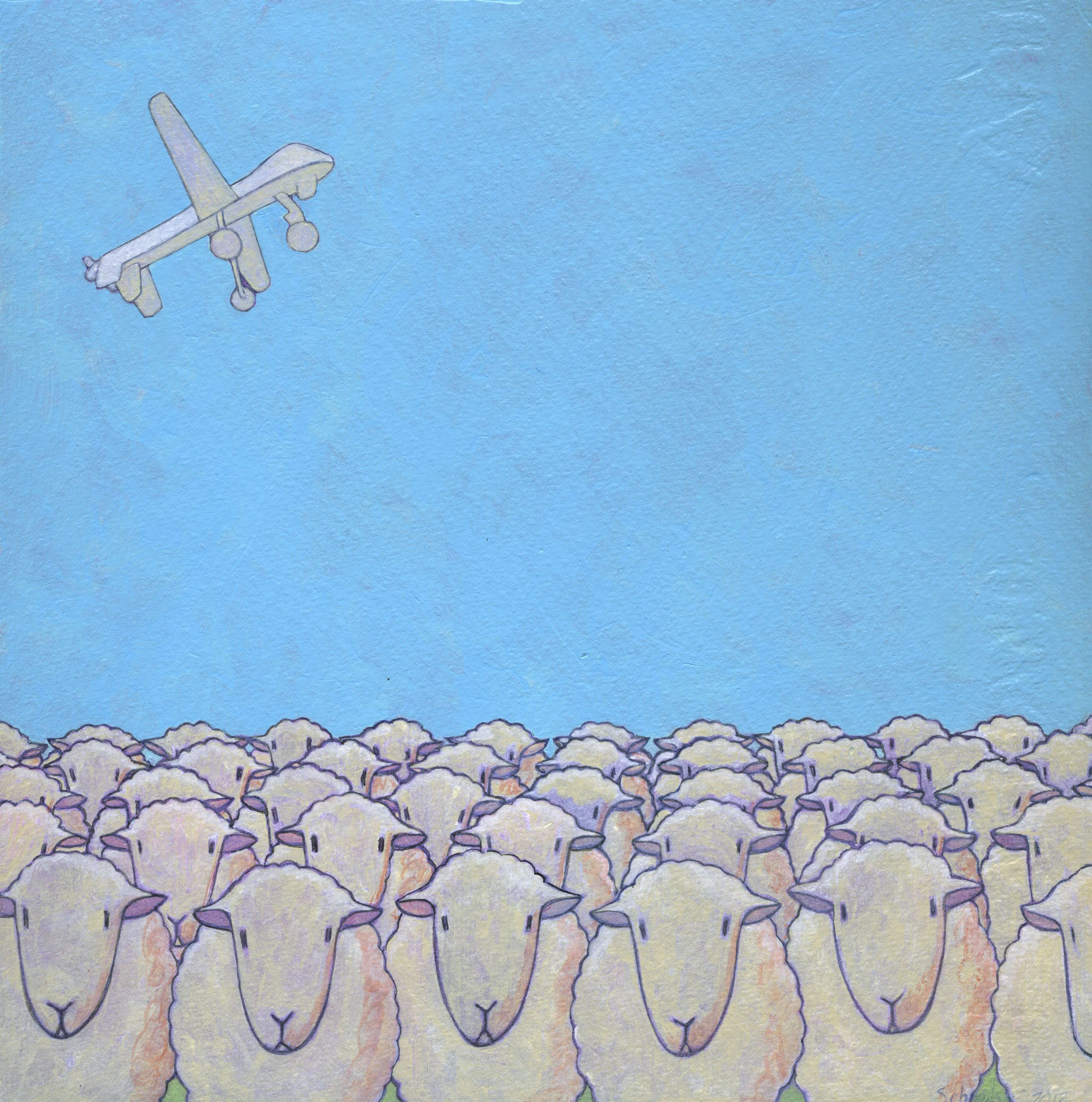 sheep in