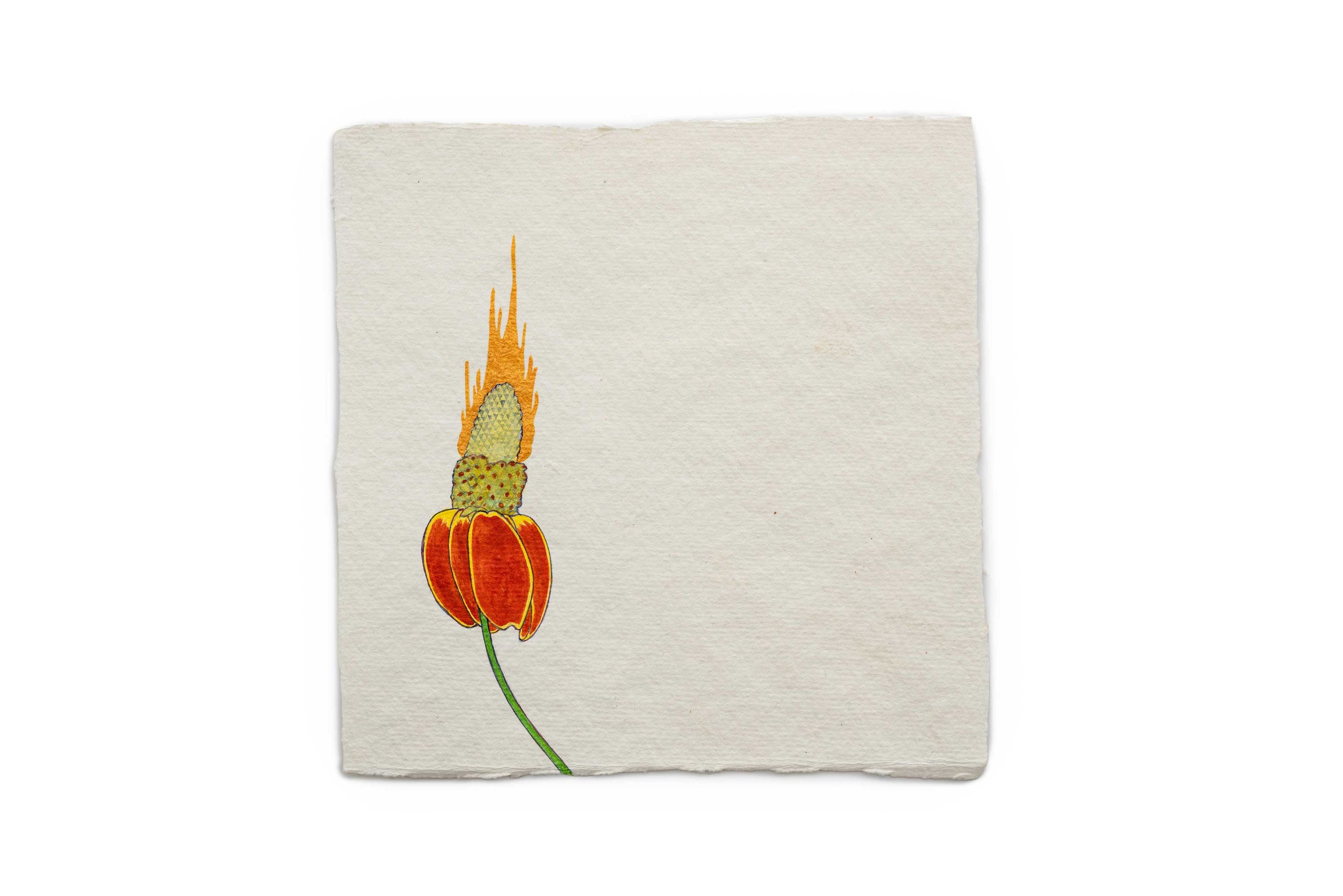   Fire Diary (Prairie Coneflower) , 2019 Acrylic on paper, 6” x 6”    View Next Set →   