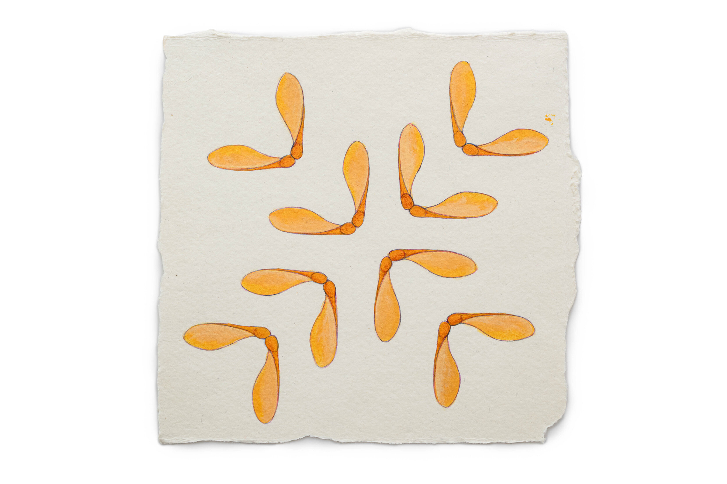   Fire Diary (Maple Pods),  2019 Acrylic on paper, 6” x 6” each 