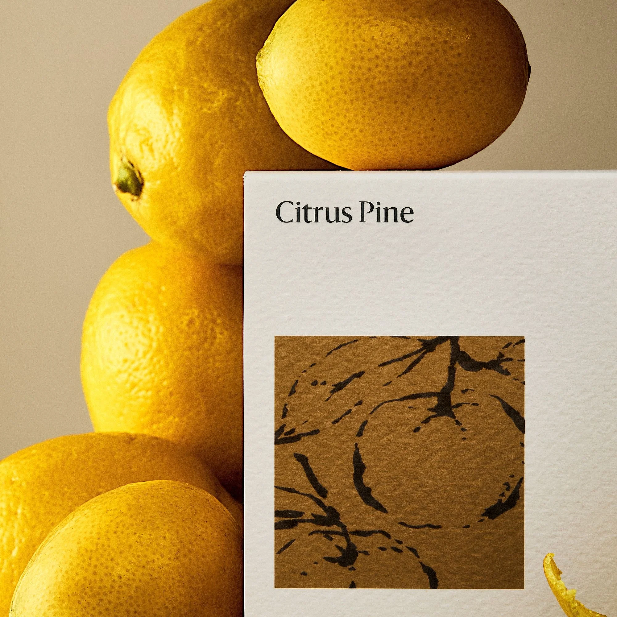 west-elm-homescent-single-wick-candle-citrus-pine-xl.jpg