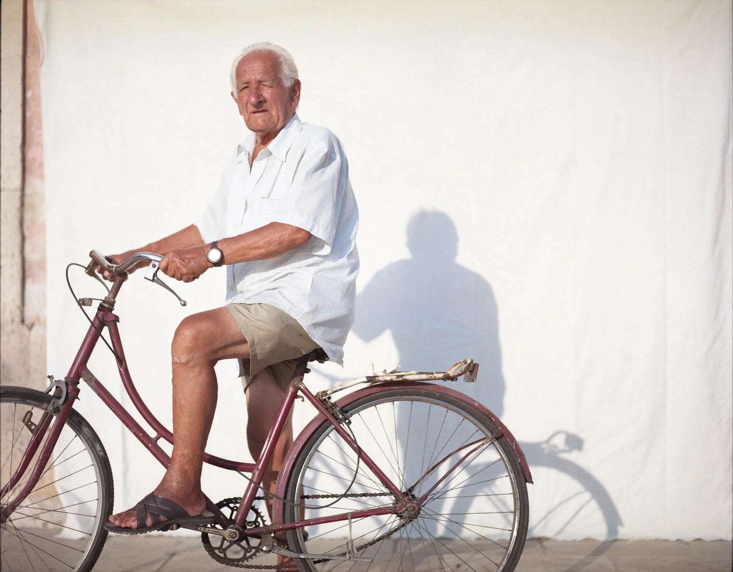 newwtd8.jpg