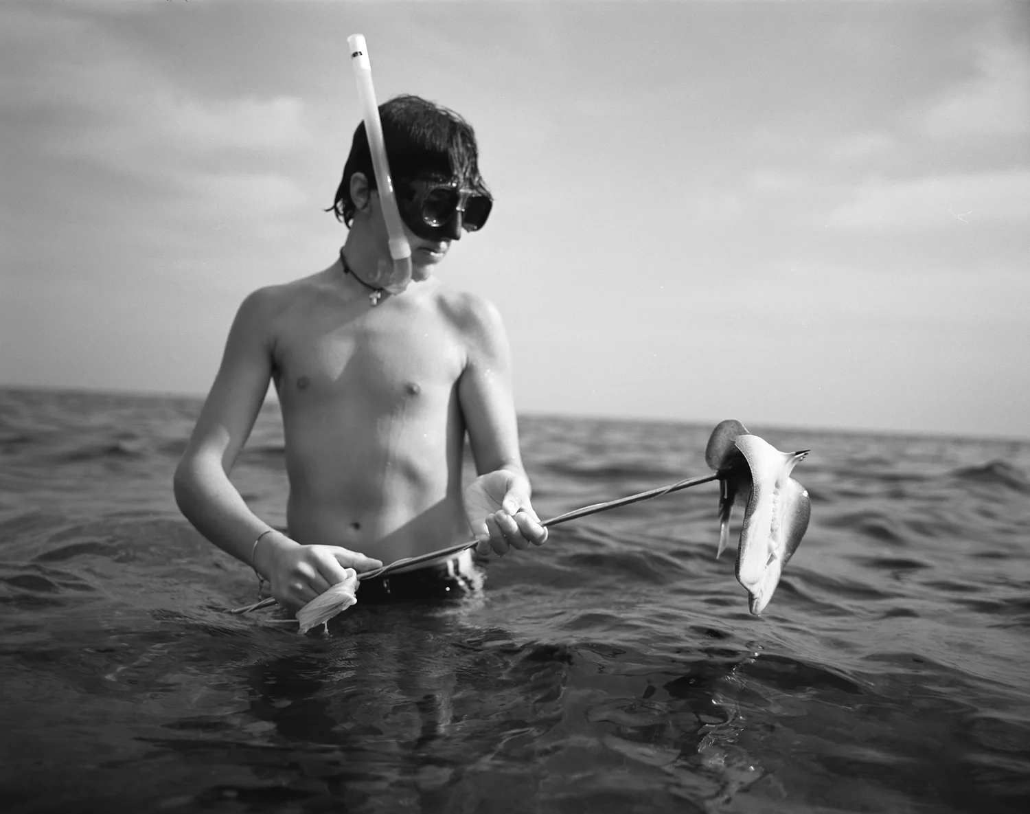 fishcatchweb.jpg