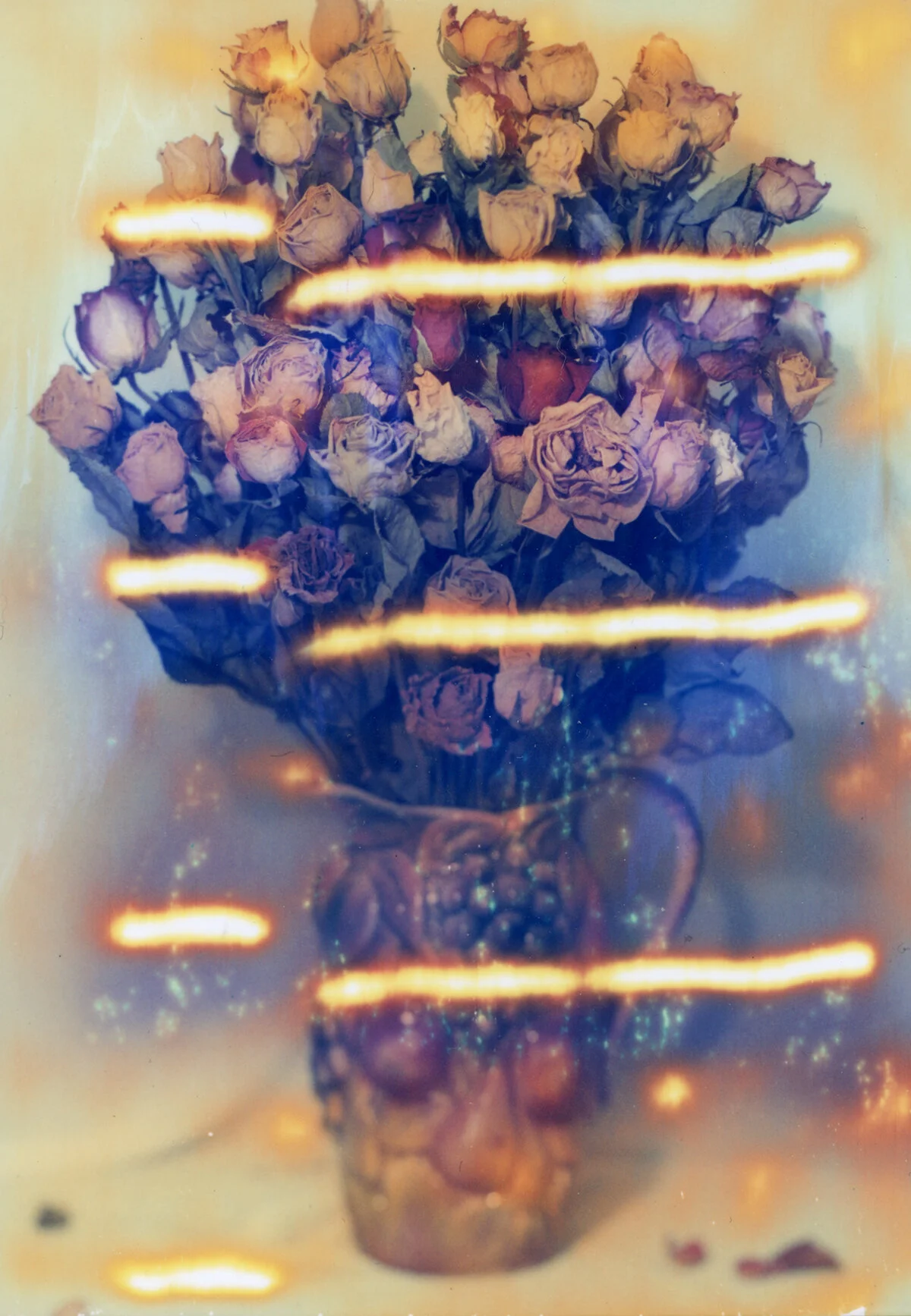 roses.jpg