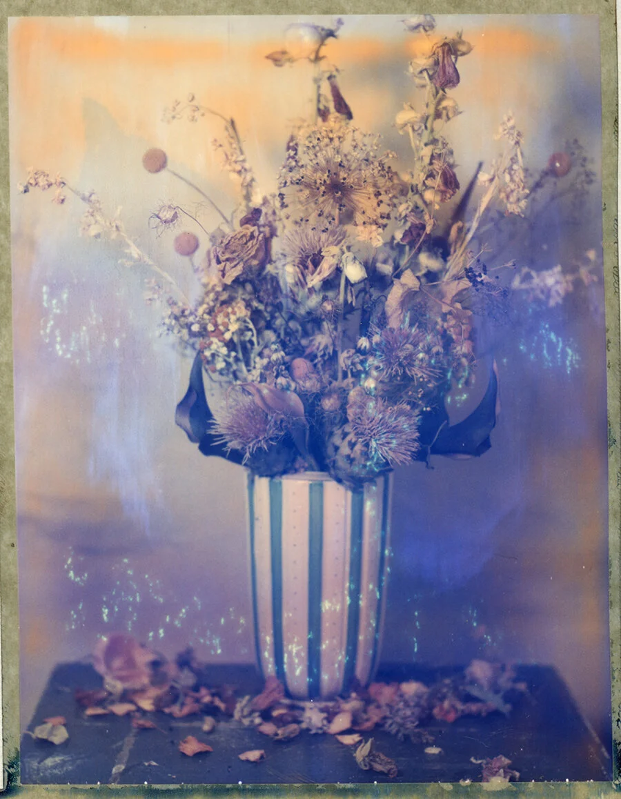 deadflowes21070.jpg