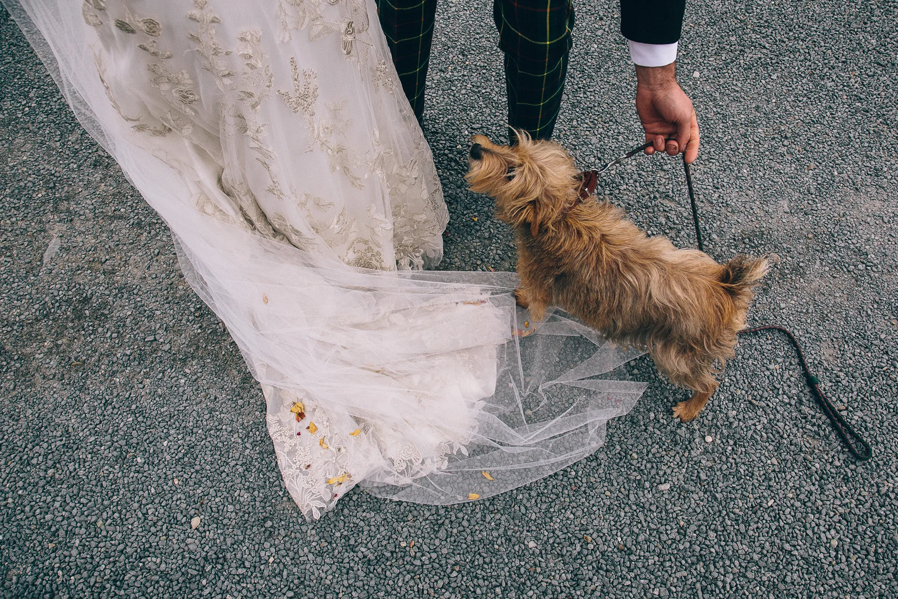 Becky & Charlie-318.jpg