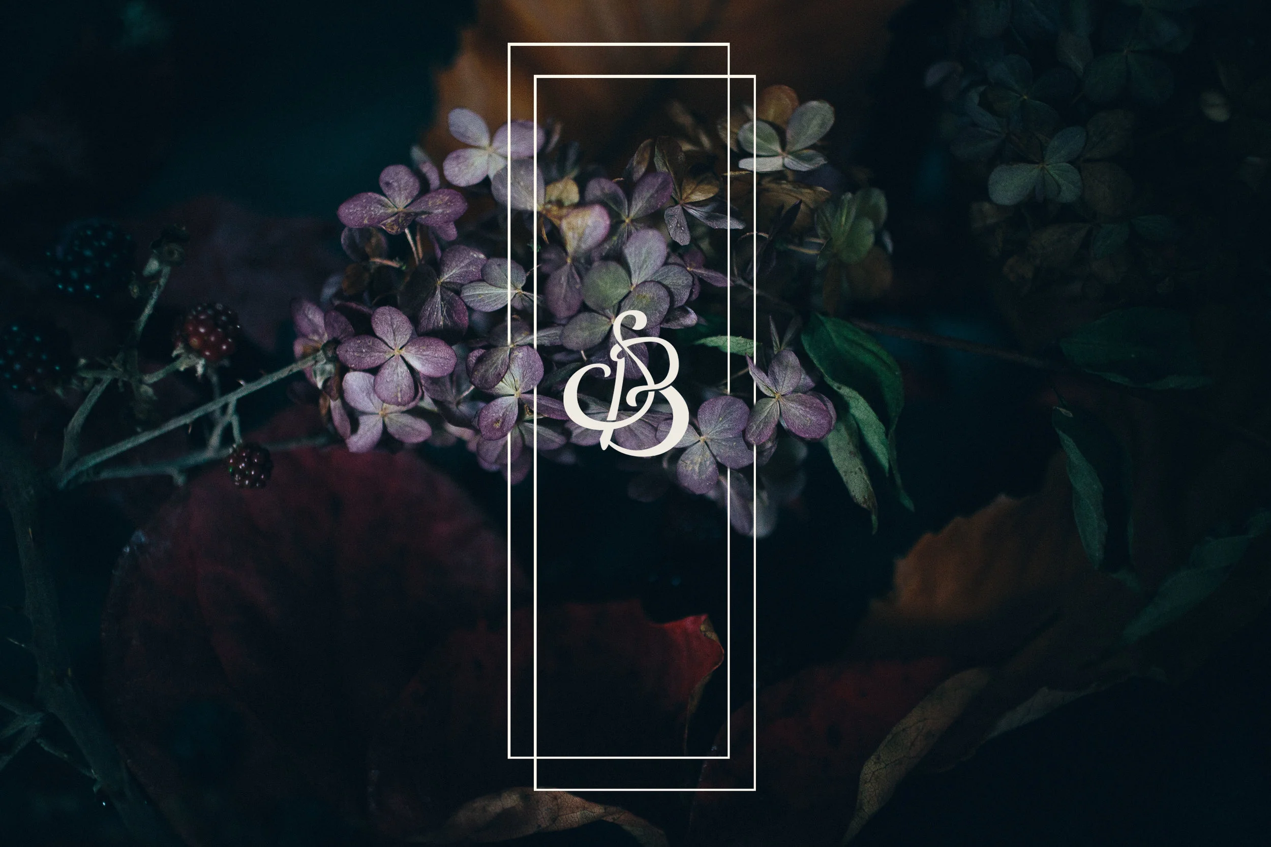 cover image test-2.jpg