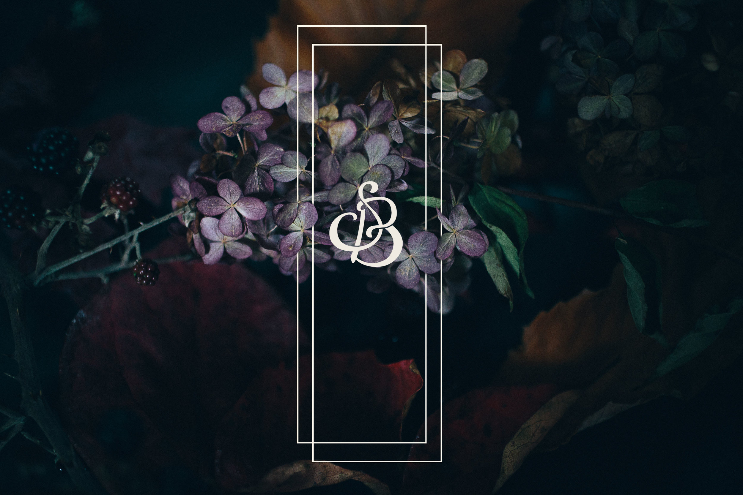 cover image test-2.jpg