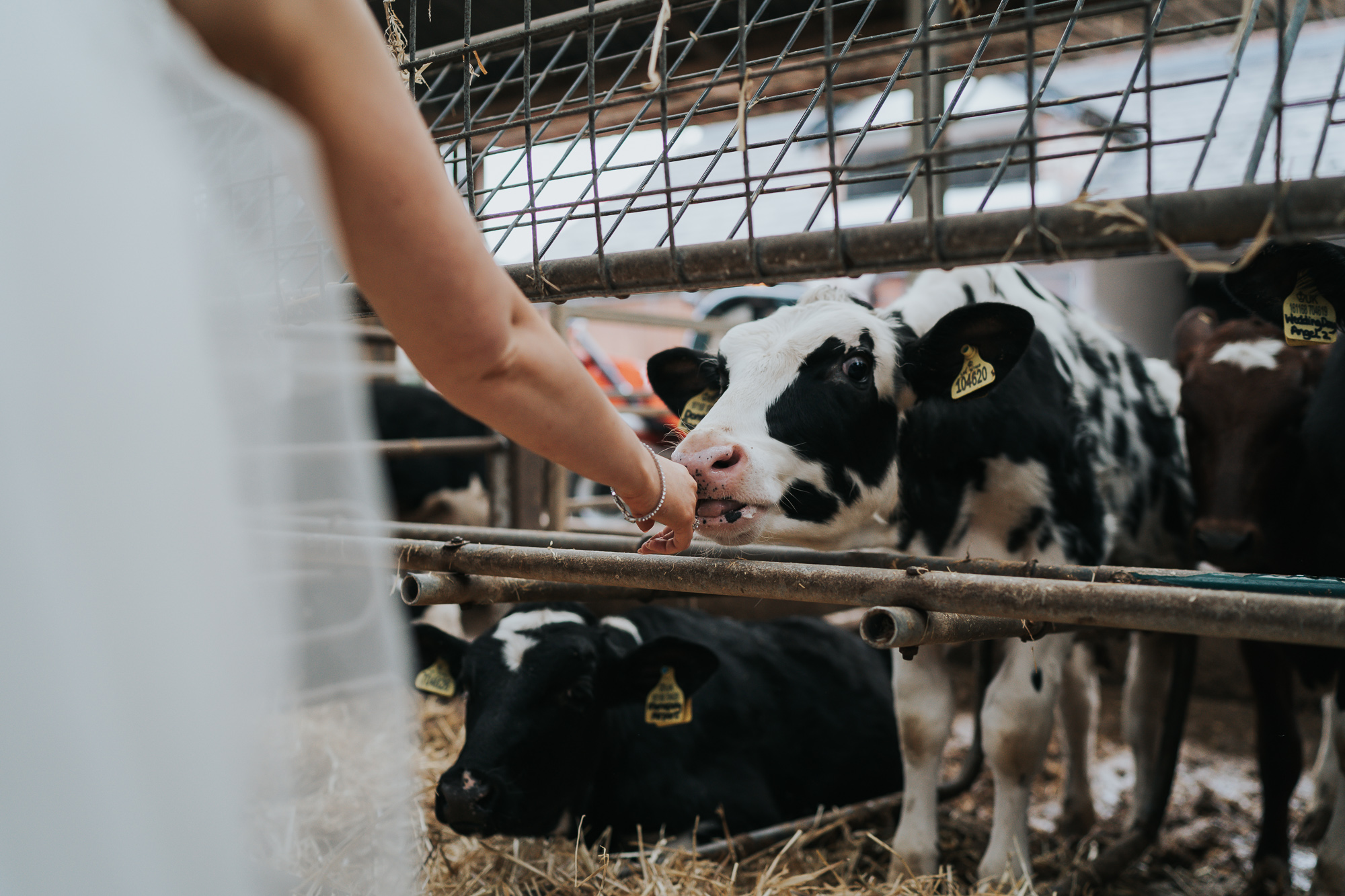 farm wedding in cheshire wedding photographer based in liverpool  (28 of 36).jpg