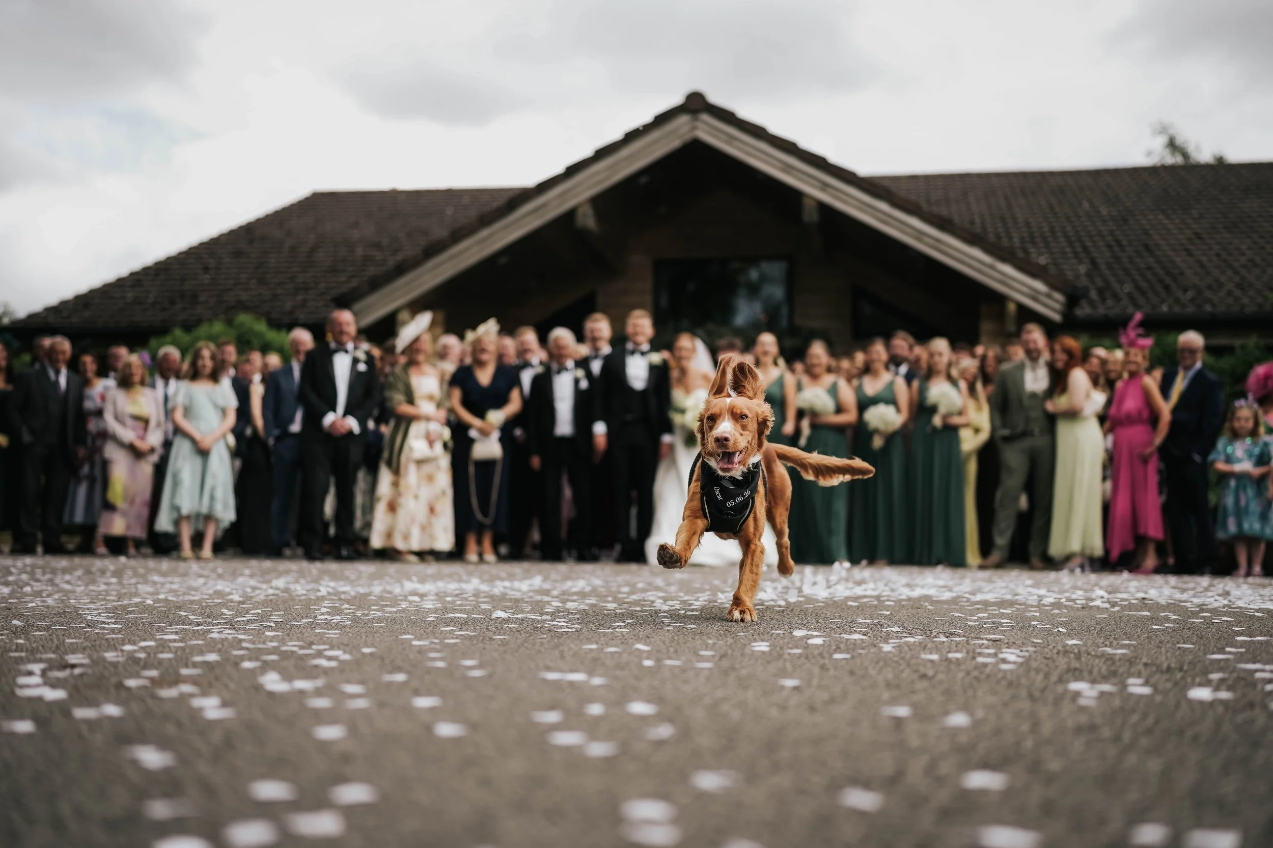 Perfect Wedding Day for Jennie and Michael at Styal Lodge in Cheshire