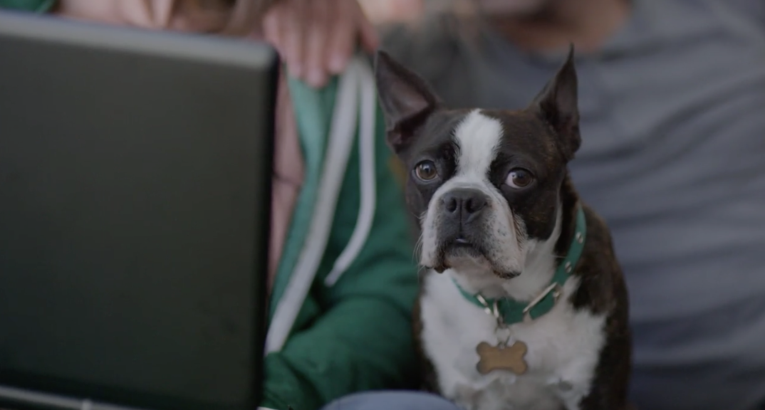 Screen Shot 2017-04-21 at 12.55.26 PM.png