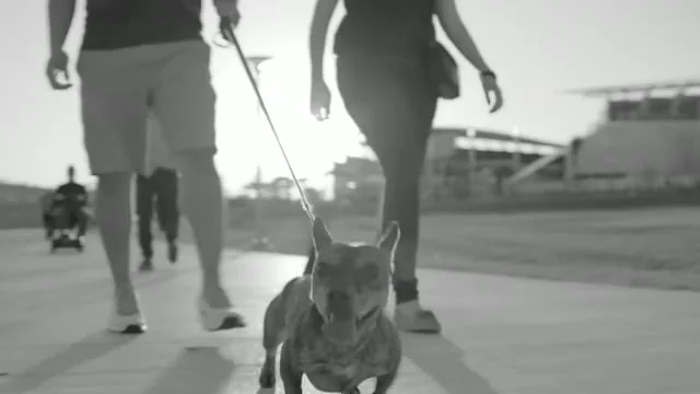 helping americans plan for the future